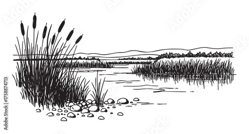 Black and white illustration of a serene lakeside scene with tall, swaying cattails, calm water, and distant hills under a clear sky.