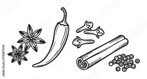 Black and white illustration of various spices including a chili pepper, cinnamon stick, star anise, cloves, and peppercorns arranged in a scattered layout.