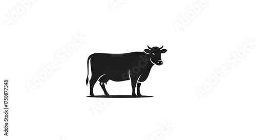 A black cow stands facing right on a white background