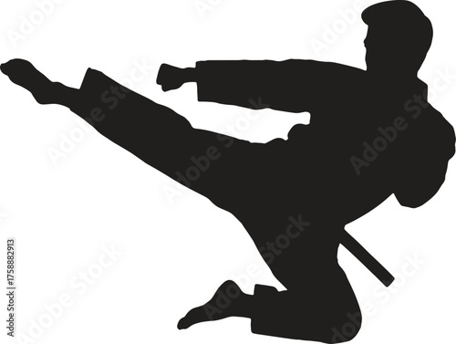 A dynamic black silhouette of a martial artist mid-air, executing a powerful side kick in a traditional gi with a visible belt, representing strength, discipline, and combat sports.