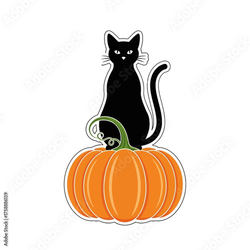 A black cat sits regally atop a bright orange pumpkin, embodying the spirit of Halloween.