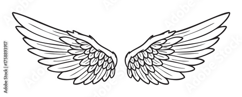 Black and white outline drawing of symmetrically spread, detailed angel wings with layered feathers and intricate patterns.