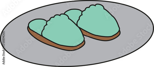 Simple illustration of a pair of cozy mint slippers
