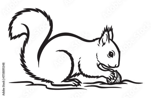 Black outline illustration of a squirrel eating a nut, showcasing a bushy tail and intricate fur details.
