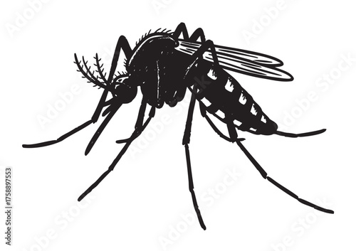 Detailed black silhouette of a mosquito with long legs, antennae, and transparent wings, showcasing the insect's anatomy and structure.