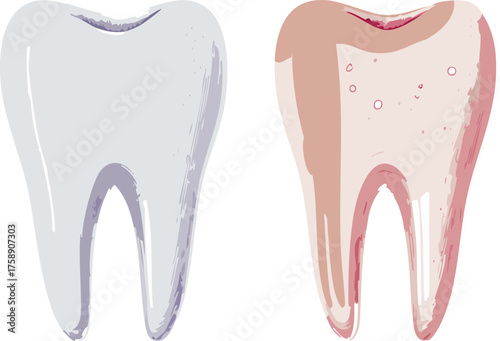 There is a white tooth and also a brown tooth prominently displayed against a clean white background
