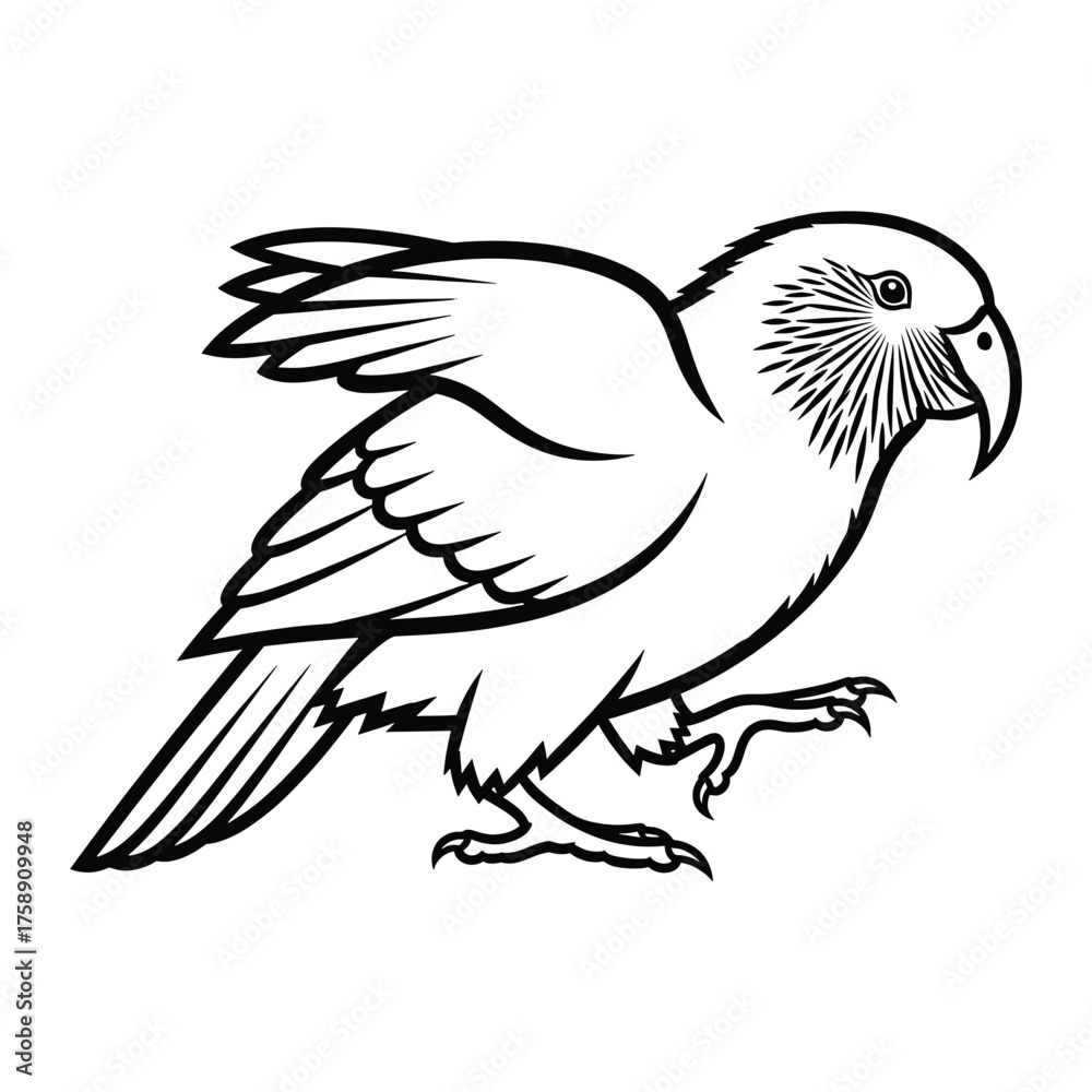 Obraz premium Kakapo bird silhouette outline drawing profile view wildlife vector