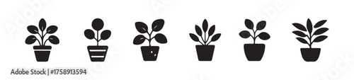 Pot icon set, garden plant in pot icon, indoor ornamental plant, various indoor houseplants botanical design projects, vector illustration eps 10.