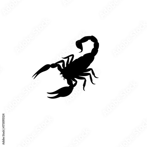 scorpion silhouette