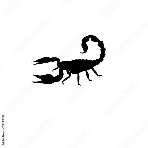 scorpion silhouette