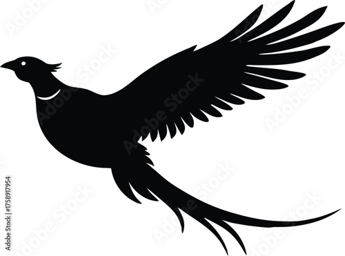 Black flying pheasant on white background