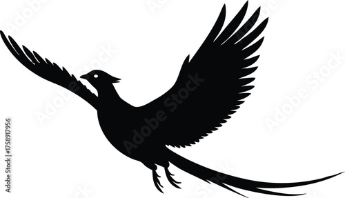 Flying pheasant bird vector graphic