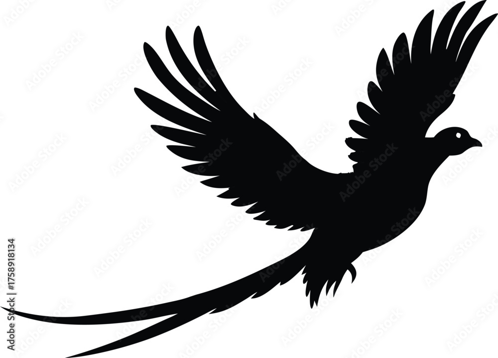 Obraz premium Flying pheasant silhouette vector illustration