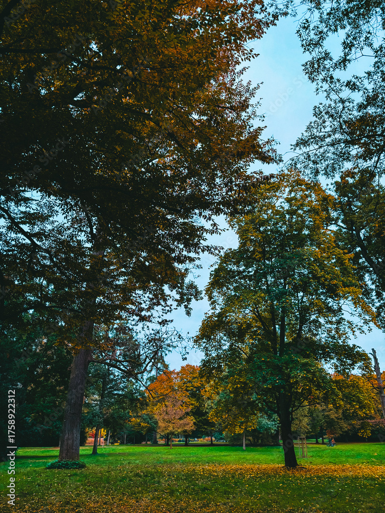 Naklejka premium Trees with red, green, and yellow foliage and bushes in an autumn park. Autumn landscape