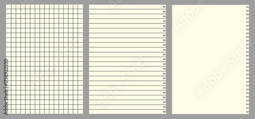 Three different types of paper graph paper, lined paper, and blank paper, all bound together with a spiral binding