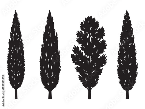 Poplar tree silhouette