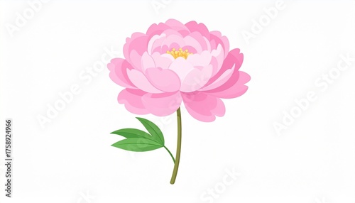 Beautiful pink peony flower illustration with stem and leaves on a white background.