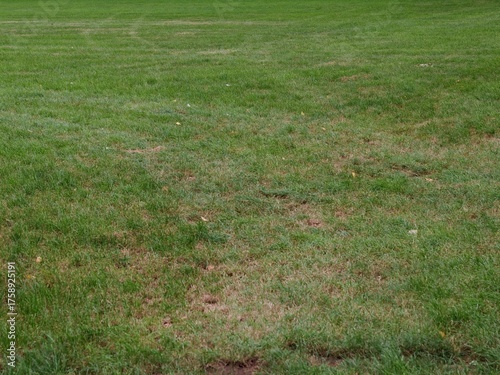 Poor quality lawn with patchy, uneven grass and visible dry spots, showing signs of neglect and bad mowing — imperfect turf surface illustrating cheap lawn care and maintenance problems