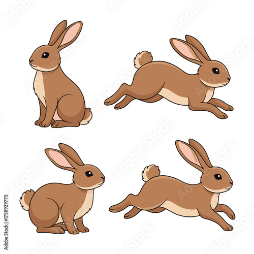 Four cute brown cartoon rabbits in different poses.