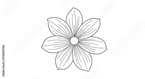 A delicate six-petaled flower in simple line art form.