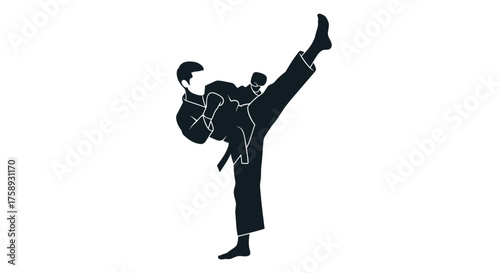 Silhouette of a martial artist performing a high kick with focused intensity.
