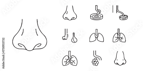 Set of nose smell breathing outline icons vector
