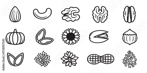 Set of nuts and seeds outline icons vector
