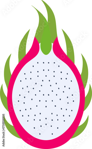 과일-용과-용과 반쪽-용과단면-용과씨-슬라이스