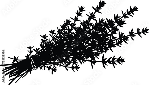 image_iter_28_A_high_resolution_black_silhou_20251017_123711_AI10.eps