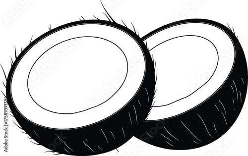 High resolution black silhouette vector illustration of two tropical coconut halves, expertly split open to reveal their inner texture, perfect for healthy food designs and exotic culinary concepts