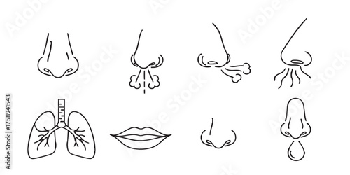Set of nose smell breathing outline icons vector
