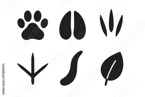 Animal tracks and leaf symbols: paw, hoof, bird, plant icons in black