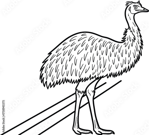 Animal Set illustrations for Coloring Pages kids & adults. Printable wildlife Out line and line art.