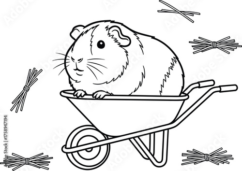 Animal Set illustrations for Coloring Pages kids & adults. Printable wildlife Out line and line art.