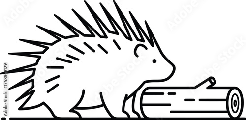 Animal Set illustrations for Coloring Pages kids & adults. Printable wildlife Out line and line art.