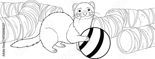 Animal Set illustrations for Coloring Pages kids & adults. Printable wildlife Out line and line art.
