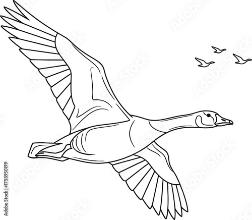 Animal Set illustrations for Coloring Pages kids & adults. Printable wildlife Out line and line art.