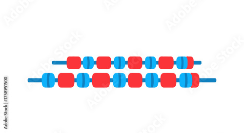 Two Parallel Swimming Lane Ropes with Alternating Red and Blue Floats.