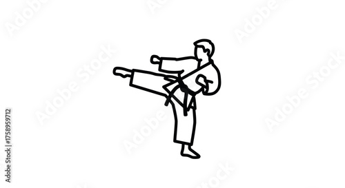 Karate practitioner performing a dynamic side kick in a traditional gi.