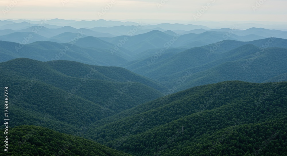 Fototapeta premium Blue Ridge Mountains layered landscape with green forests and distant peaks