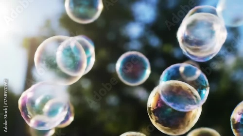 Bubbles floating outdoors in a sunny park; a dreamy conceptual background