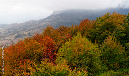 Autumn in the Ergoiena Valley, Navarre