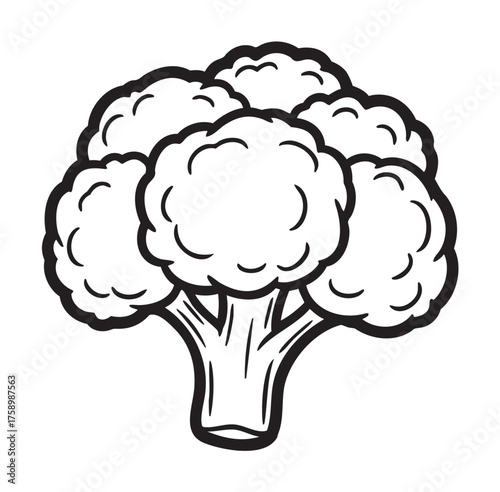 Black outline vector icon of a broccoli floret, detailing its rounded clusters and sturdy stalk, perfect for health, nutrition, and vegetable-themed concepts.