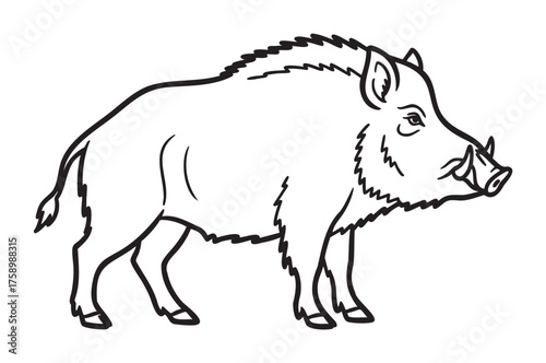 Black outline drawing of a wild boar with detailed features.
