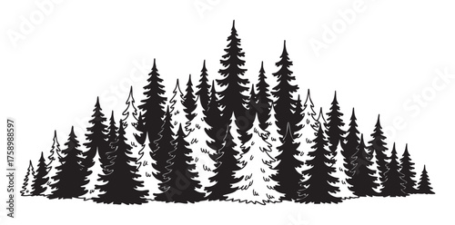 Black silhouette of various evergreen trees in a dense forest arrangement, highlighting the diverse shapes and sizes of coniferous trees.