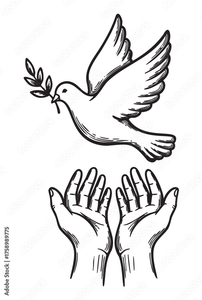 Obraz premium Black and white illustration of a dove carrying an olive branch, flying above two open human hands symbolizing peace and hope.