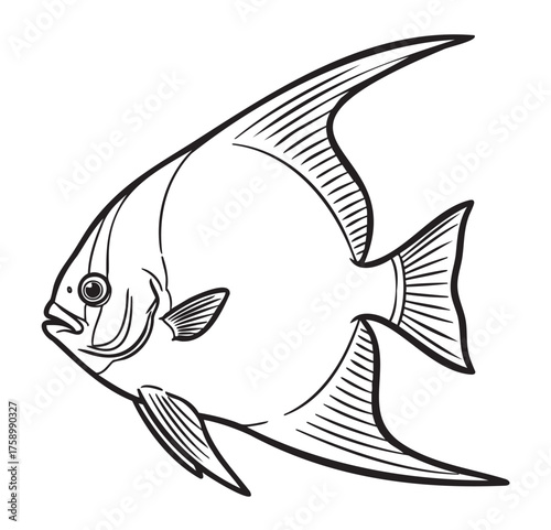 Black outline drawing of a single angelfish with distinctive fins and a streamlined body, ideal for aquatic themes and educational purposes.