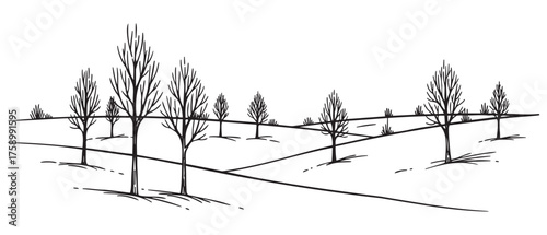 Black outline drawing of a row of leafless trees on gently rolling hills, depicting a serene and minimalist landscape.