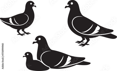 Silhouette Pigeon Doves Urban Birds Collection City Avian Wildlife Vector Set