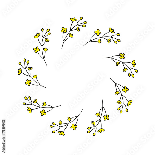 Cute round frame with doodle canola rapeseed floral twigs isolated on white background.